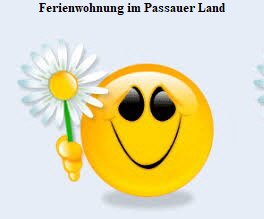 Ferienwohnung Passauer Land privat